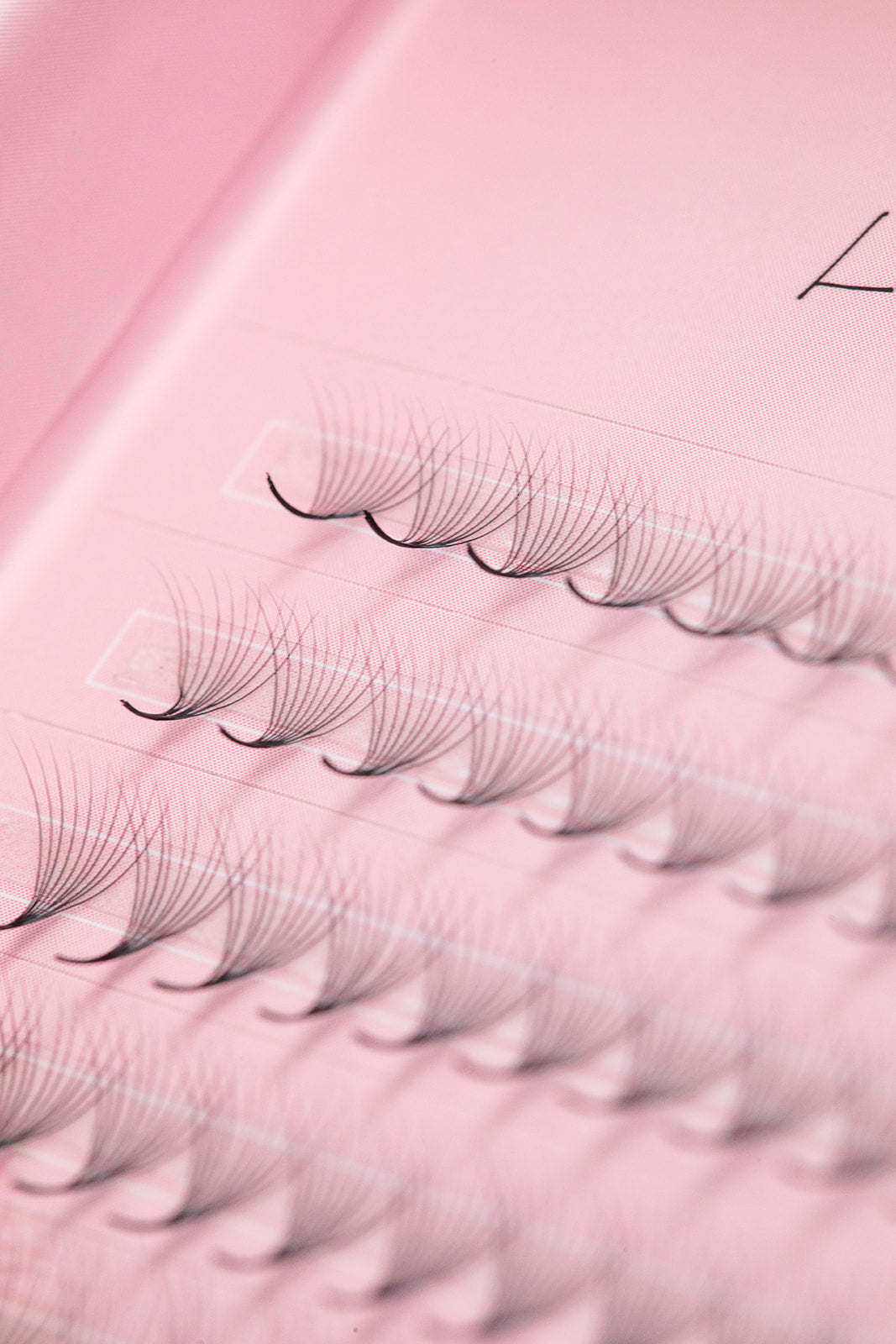 10D Premade Volume Fans (400 Fans) - Laura Bell Luxury Lash Supplies